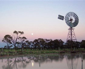 Moorrinya National Park - Accommodation in Brisbane 0