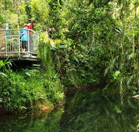 Djiru National Park - Accommodation in Brisbane