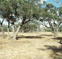 Forest Den National Park - Accommodation in Brisbane