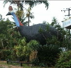 The Big Cassowary - Accommodation in Brisbane