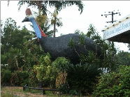 The Big Cassowary - Accommodation in Brisbane 0