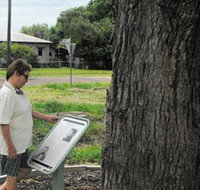 Augathella Kenniff Tree - Accommodation in Brisbane