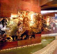 Riversleigh Fossil Centre - Accommodation in Brisbane