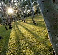 Tondoon Botanic Gardens - Accommodation in Brisbane
