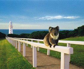 Cape Otway VIC Accommodation in Brisbane