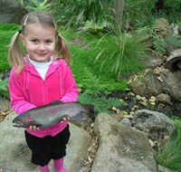 Wild Food Farm  Cafe - Accommodation in Brisbane