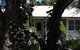 Melaleuca Gallery - thumb 0