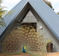 Halls Gap Zoo - Accommodation in Brisbane