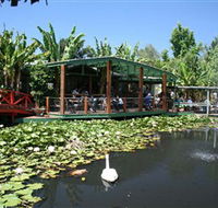 Blue Lotus Water Garden - Accommodation in Brisbane
