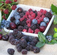 Bright Berry Farms - Accommodation in Brisbane