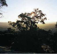 Yarra Flats - Accommodation in Brisbane