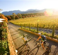 Boyntons Feathertop Winery - Accommodation in Brisbane