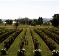 Rochford Wines - Accommodation in Brisbane