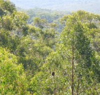 Bunyip State Park - Accommodation in Brisbane