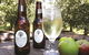 Punt Road Wines And Napoleon & Co Cider - thumb 0