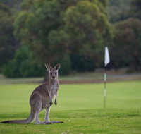 Anglesea Golf Club - Accommodation in Brisbane
