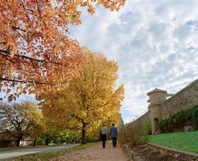 Beechworth Historic Park - Accommodation in Brisbane 0