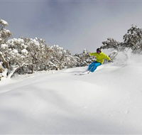 Mt Buller and Mt Stirling Alpine Resort - Accommodation in Brisbane