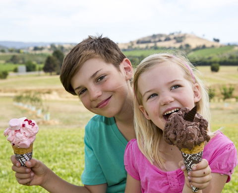 Yarra Valley Chocolaterie & Ice Creamery - Accommodation in Brisbane 6