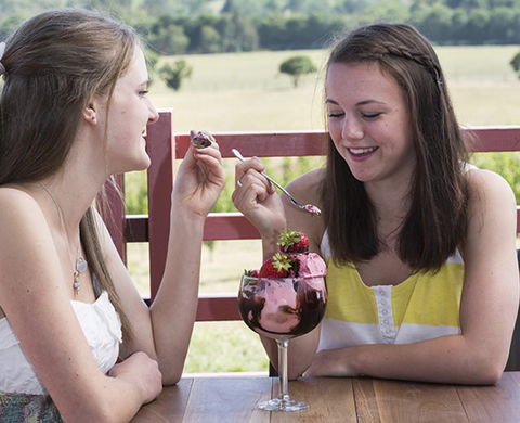Yarra Valley Chocolaterie & Ice Creamery - Accommodation in Brisbane 8