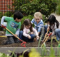 The Ian Potter Foundation Children's Garden - Accommodation in Brisbane