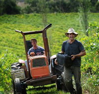 Kellybrook Winery  Kelly Brothers Cider - Accommodation in Brisbane