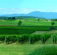 Acacia Ridge Vineyard - Accommodation in Brisbane