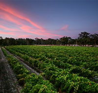 Amherst Winery - Accommodation in Brisbane