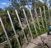 Herring Island Environmental Sculpture Park - Accommodation in Brisbane