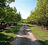 Waybourne Winery - Accommodation in Brisbane