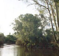 Banksia Park - Accommodation in Brisbane