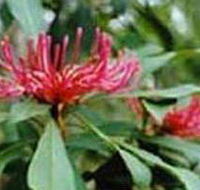 Alfred National Park - Accommodation in Brisbane