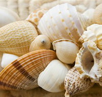 Anglesea Beach Club - Accommodation in Brisbane