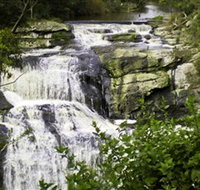 Agnes Falls Scenic Reserve - Accommodation in Brisbane