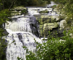 Agnes Falls Scenic Reserve - Accommodation in Brisbane 0