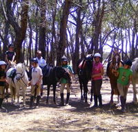 Bellarine Horse Riding Centre - Accommodation in Brisbane