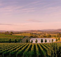 Oakridge Wines - Accommodation in Brisbane
