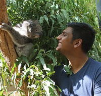 Healesville Sanctuary - Accommodation in Brisbane