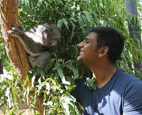 Healesville Sanctuary - Accommodation in Brisbane 0