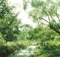 Holey Plains State Park - Accommodation in Brisbane