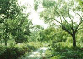 Holey Plains State Park - Accommodation in Brisbane 0