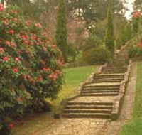 Maroondah Reservoir Park - Accommodation in Brisbane