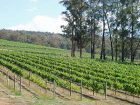 Ada VIC Accommodation in Brisbane
