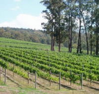 Piedmont Vineyard - Accommodation in Brisbane