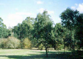 Sweeneys Flat - Accommodation in Brisbane 0