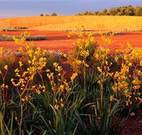 Royal Botanic Gardens Victoria Cranbourne - Accommodation in Brisbane