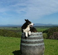 Windy Ridge Vineyard and Winery - Accommodation in Brisbane