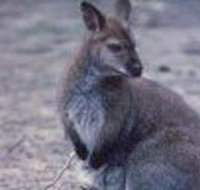 Churchill National Park - Accommodation in Brisbane
