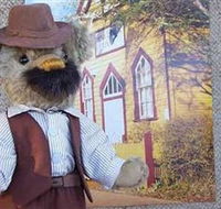 Stanley Bears - Accommodation in Brisbane