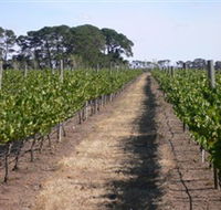 Mount Beckworth Wines - Accommodation in Brisbane